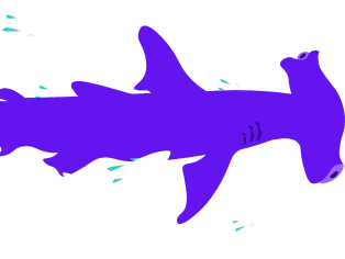 Digital Ocean Functions